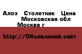 Алоэ - Столетник › Цена ­ 200 - Московская обл., Москва г.  »    